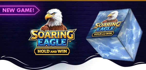 Soaring Eagle Soaring Eagle